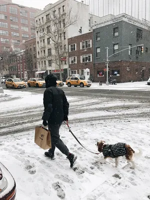 Снежный Нью-Йорк | Veter Magazine