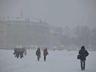 Затонет ли Петербург и почему холодное лето — теперь норма? Отвечают  синоптик и климатолог | Sobaka.ru