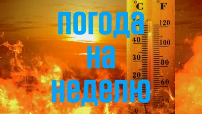 Прогноз погоды в Петербурге на август 2023 года