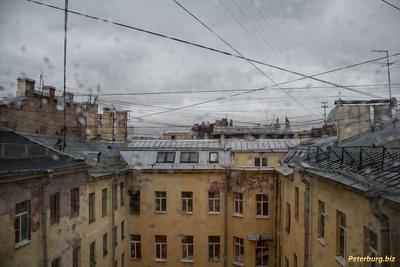 В Санкт-Петербурге за 12 часов выпало почти 60% месячной нормы осадков |  Новостной портал Добрушчины