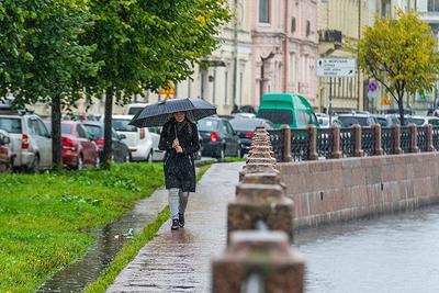 Санкт-Петербург и Хорошая погода: реальные истории людей, происшествия,  мемы — Горячее, страница 2 | Пикабу