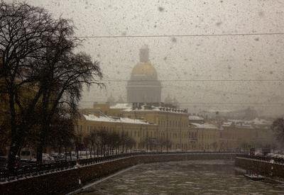 Погода в Санкт-Петербурге сегодня: прогноз синоптиков 29 мая 2023 г. — РБК