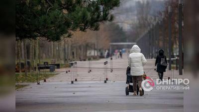 Новый год в Санкт-Петербурге 2024: куда сходить на новогодние праздники —  Суточно.ру