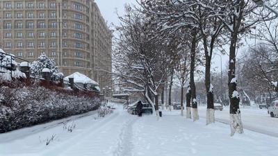 Когда подешевеет недвижимость в Волгограде: прогноз экспертов на 2024 год