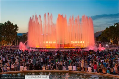 Вечерняя Барселона: поющие фонтаны и фламенко — экскурсия на «Тонкостях  туризма»