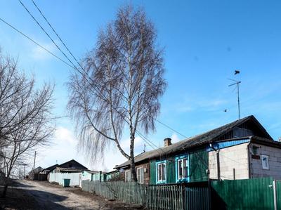 Жилой комплекс Яблони в Покровском (Центральный район Красноярска)