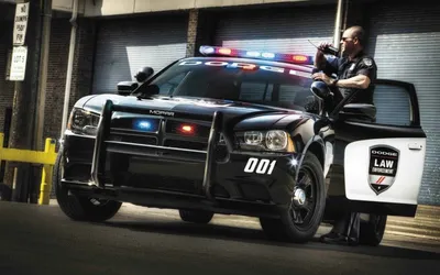 AUTO.RIA – Снимай шинель! Топ-10 полицейских авто, которые можно недорого  купить «на гражданке»
