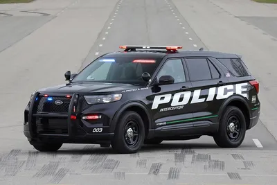 Ford может прекратить выпуск полицейских машин из-за расизма - Российская  газета