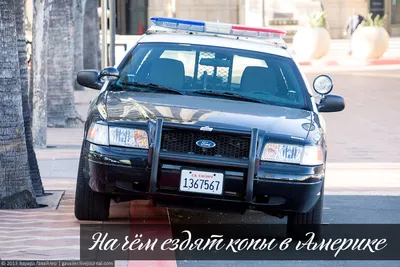 Картинки американских полицейских машин (47 фото) » Картинки, раскраски и  трафареты для всех - Klev.CLUB
