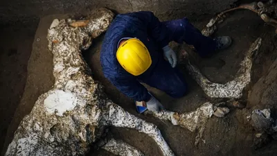 Открытые мертвые люди были затронуты вопросы, связанные с вулканическим  пеплом в музее Помпеи Редакционное Фото - изображение насчитывающей  покрыто, помпеи: 174336666