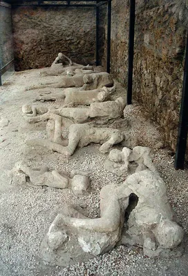 Файл:Pompeii.Sacrifice.jpg — Википедия