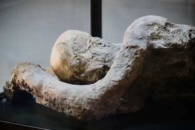 В Помпеях обнаружили еще два скелета жертв извержения Везувия