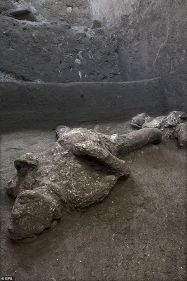 Страшная находка в Помпеях: бежавший от извержения был настигнут огромным  камнем - BBC News Русская служба