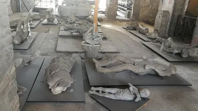 Жертвы Помпеи редакционное стоковое фото. изображение насчитывающей  детально - 59045518