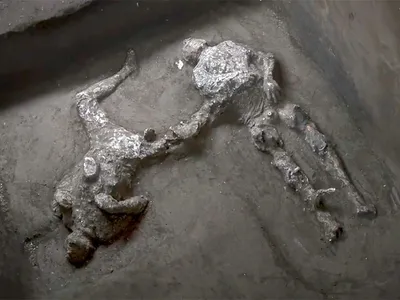 NEWSru.com :: На раскопках в городе Помпеи обнаружены останки двух мужчин,  погибших при извержении Везувия в 79 году н.э.