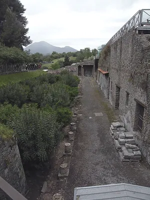 При раскопках в Помпеях обнаружили пекарню, на которой использовался  рабский труд | Euronews