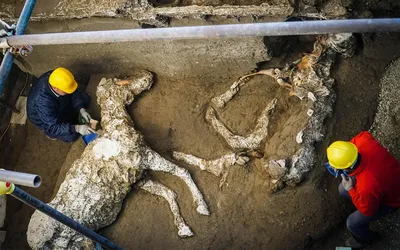 Археологи рассказали о шокирующей находке в Помпеях - РИА Новости,  16.05.2023