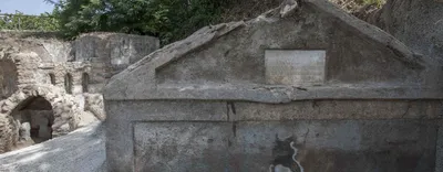На руинах Помпеев археологи обнаружили останки двух нестарых мужчин,  погибших при извержении Везувия в 79 году н.э. | РБК Life
