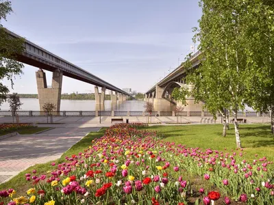 ЖК Сакура парк Новосибирск: купить квартиру, 🏢 жилой комплекс Сакура парк  официальный сайт, цены