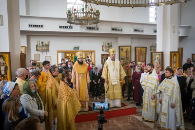 Во Львове заработал бесплатный мобильный музей с вещами Папы Римского  (фоторепортаж) — УНИАН