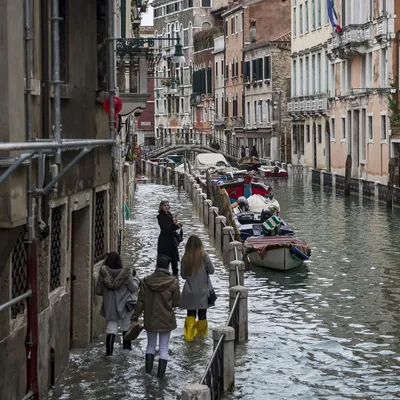 Исторический центр Венеции затопило почти на 75%