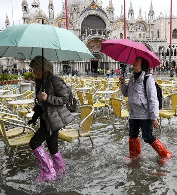 Наводнение в Венеции - появились яркие фото - Новости Европы | Сегодня