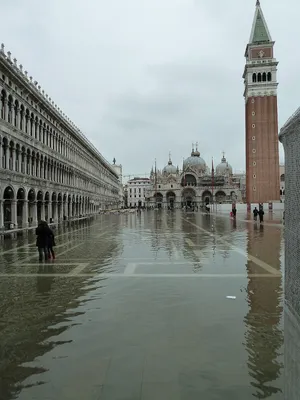 Наводнения в Венеции — Википедия