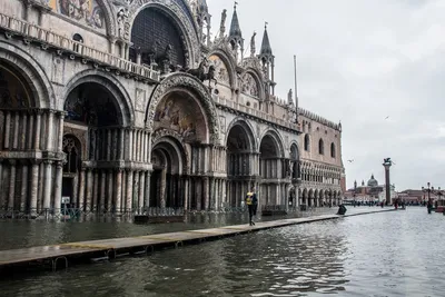 Венеция ушла под воду, но туристов это не пугает // Новости НТВ