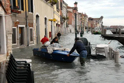 Площадь Святого Марка в Венеции закрыли из-за наводнения | Новости мира |  Известия | 15.11.2019