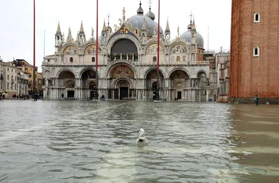 Исторический центр Венеции затопило из-за необычно высокого прилива |  Европейская правда