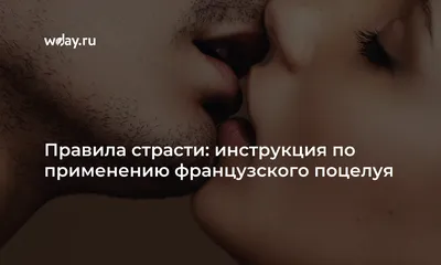 Анна и французский поцелуй Перкинс Стефани Современный сентиментальный  роман купить в США