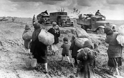 Судьба «наказанного народа»: как власти СССР депортировали немцев  Закавказья | Forbes Life