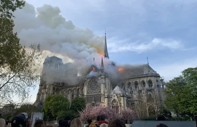 В Париже сгорел Нотр-дам-де-Пари