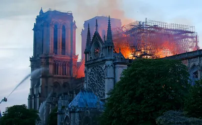 Пожар в Соборе Парижской Богоматери довел знаменитостей до слез - KP.RU