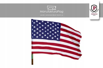 Флаг США Знак. Национальный Символ Свободы И Независимости. Оригинальный И  Простой Соединенных Штатах Америки Флаг На Белом Фоне. Официальные Цвета И  Пропорции Правильно. Векторная Иллюстрация Клипарты, SVG, векторы, и Набор  Иллюстраций Без