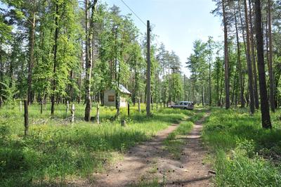 Продам земля сельхозназначения в поселке Прибрежном в городе Самаре  Прибрежный 16.0 сот 950000 руб база Олан ру объявление 113651313