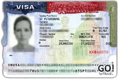 Виза в США | Образец визы в Америку, как выглядит виза в США в 2024 году