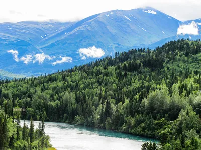 Go Peaks - 😍Природа Аляски прекрасна в любое время года. ⠀... | فيسبوك