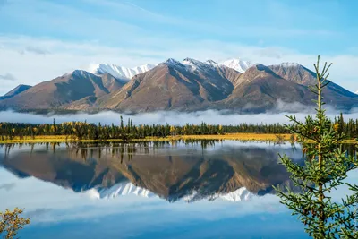 Природа Аляски - Бон Тур