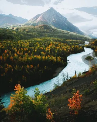 Штат Аляска природа | Нила Ефремова | Дзен