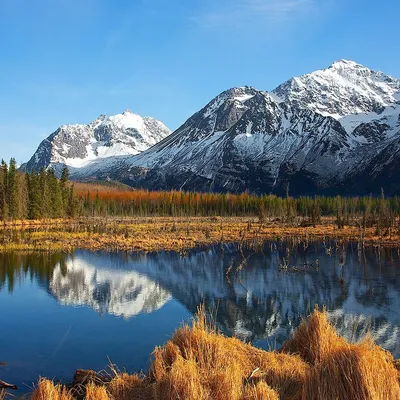 Красивая природа Аляски на фотографиях Патрика Туна | Екабу.ру -  развлекательный портал
