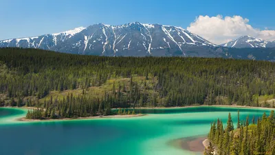 Северное сияние, медведи, горы и киты: в какие города Аляски стоит поехать  для идеального отпуска - ForumDaily