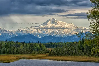 Дик Пренеке – 30 лет одиночества в горах Аляски | Пикабу