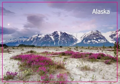 Alaska's wilderness lures visitors from abroad | ShareAmerica