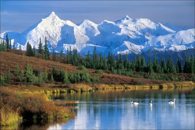 Больше 1 000 бесплатных фотографий на тему «Аляска» и «»Природа - Pixabay