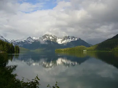 Волшебный мир Аляски» — создано в Шедевруме