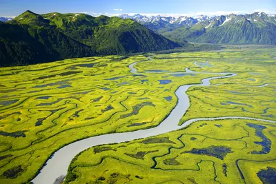 Ледник и красивая природа Аляски Редакционное Стоковое Изображение -  изображение насчитывающей каникулы, туризм: 70518419