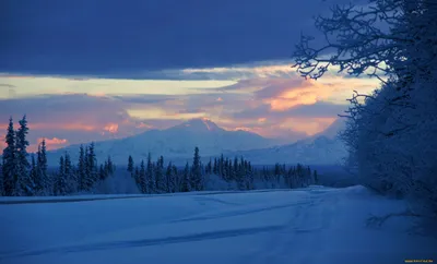 Откройте для себя Аляска на автомобиле| ViaBoo