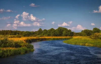 Природа Беларуси: озёра, реки и леса находящиеся на территории страны