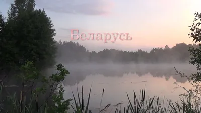 Охрана природы в Беларуси и Франции: в чём отличия и что нам нужно перенять  | greenbelarus.info